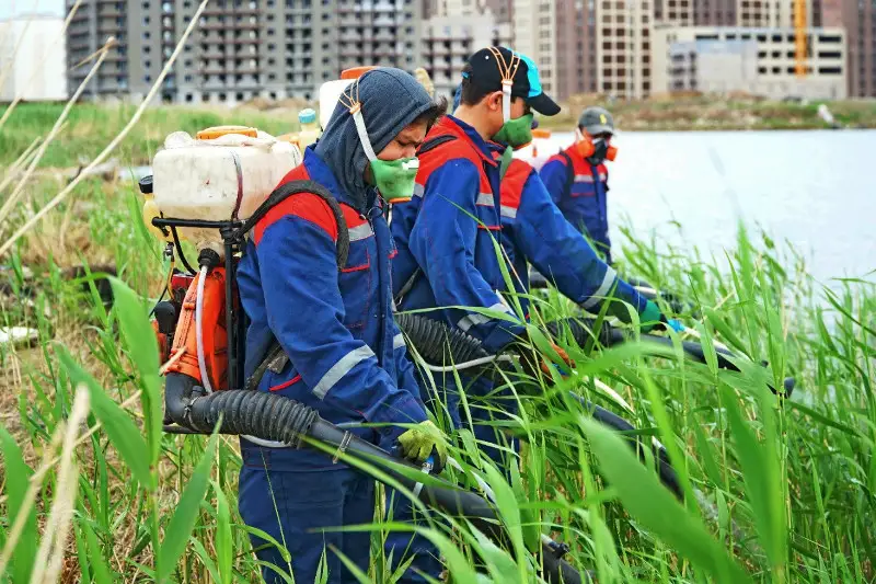 Обработку от комаров в столице ведут в две смены