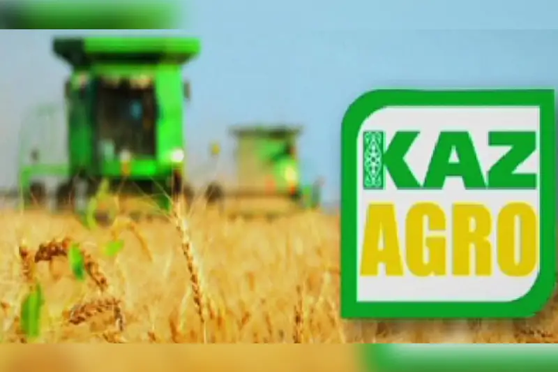 Пересмотреть функции холдинга «КазАгро» предлагает Елена Бахмутова