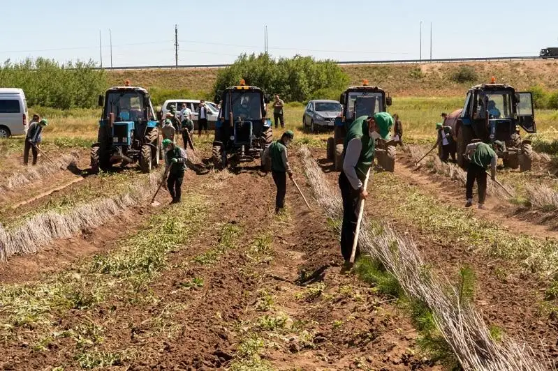 Свыше тысячи астанчан трудоустроили по программе «Жасыл ел»