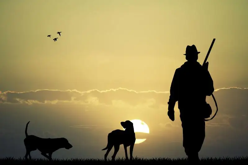 Развивать трофейную охоту предлагают в РК