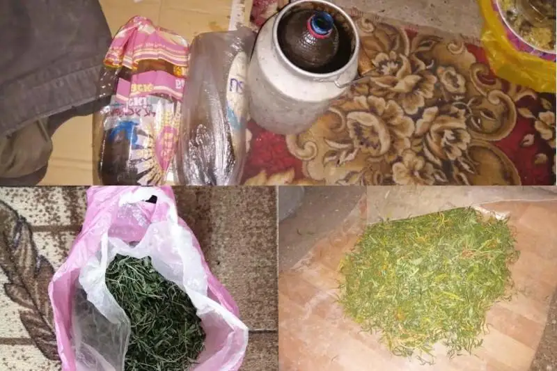 Крупную партию марихуаны изъяли полицейские в ЗКО