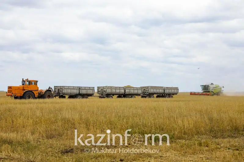 Реализация Послания: аудит всех сельхозземель проведут в Карагандинской области