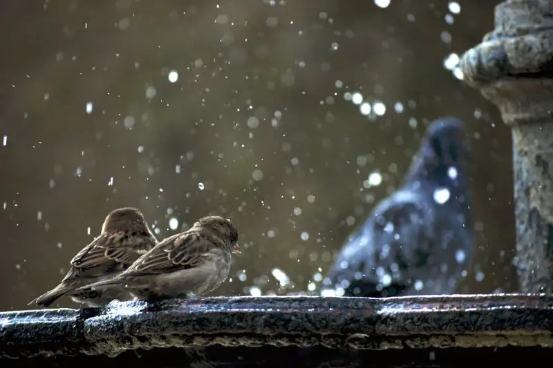 Град и дождь со снегом ожидаются с 23 по 25 апреля