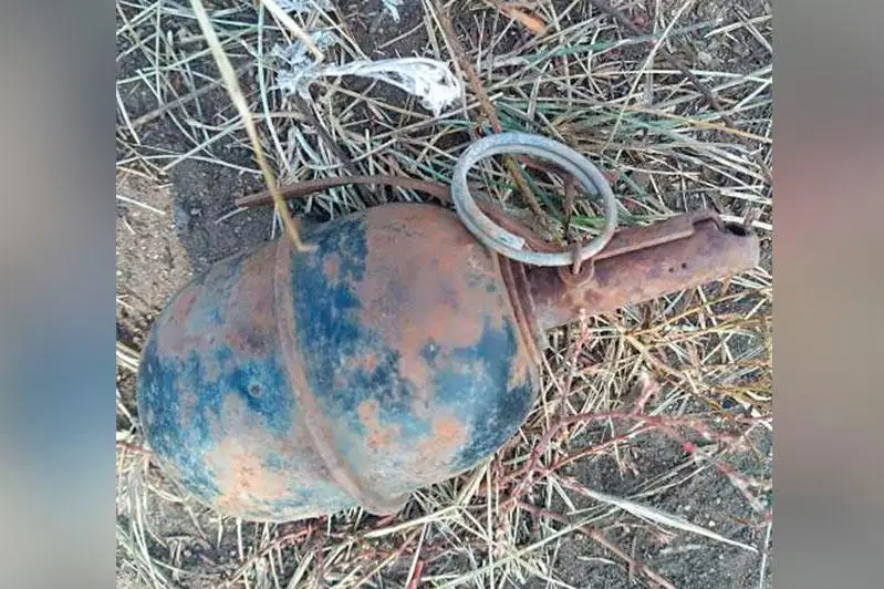 Гранату в поле нашел комбайнер в Павлодарской области
