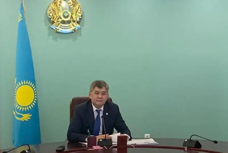 Елжан Биртанов встретился онлайн с медсестрами Казахстана