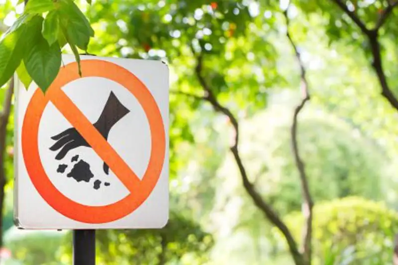 Социальный проект «StopMusor» запускают в Нур-Султане и Алматы