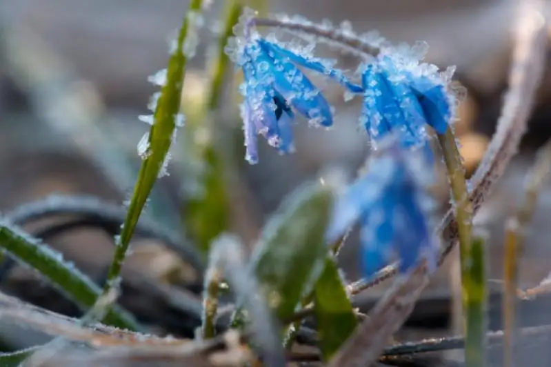 Заморозки, грозы и сильный ветер ожидаются в регионах Казахстана