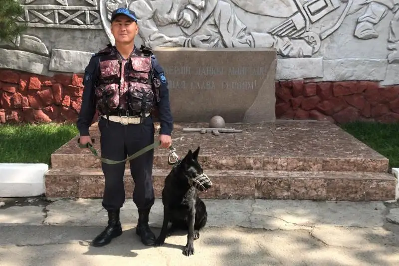 Служебная собака нашла тело пропавшей алматинки