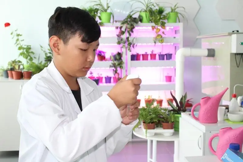 Тропических рыб и растения без почвы выращивают школьники в Петропавловске