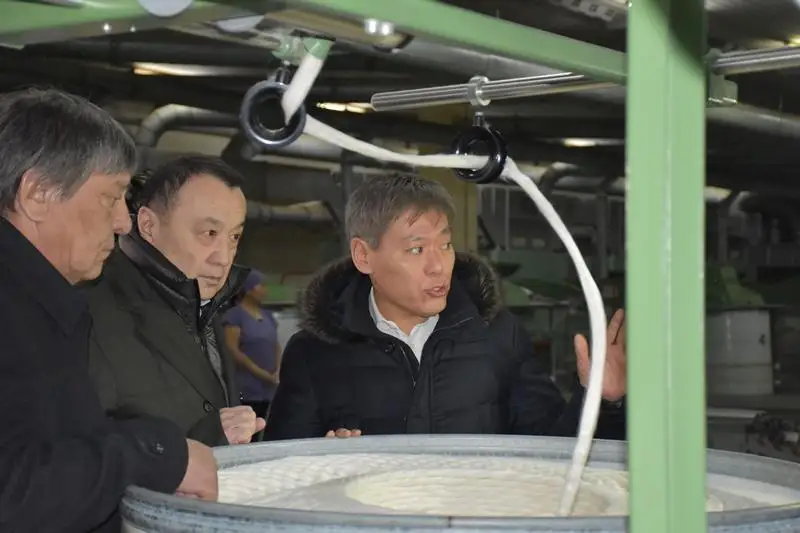 Сенатор Серик Джаксыбеков: Легкая промышленность требует более углубленного изучения