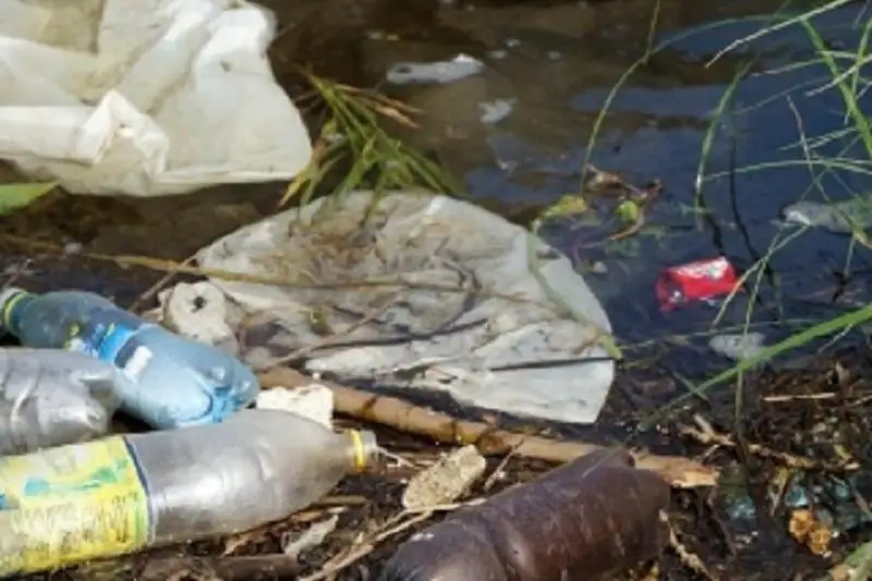 8 тонн мусора и 4 км рыболовных сетей вытащили из водоемов Павлодарской области