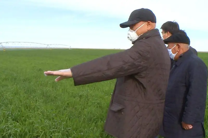 Умирзак Шукеев оценил продовольственный пояс в Туркестане