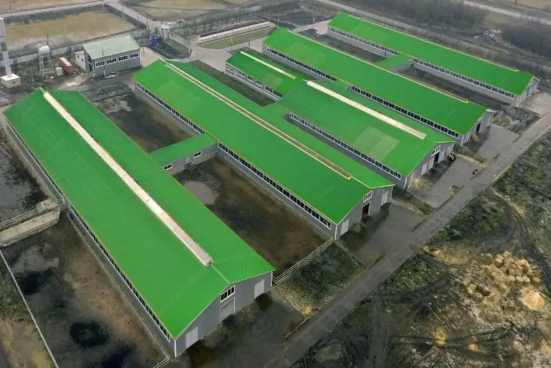 Употреблять натуральное североказахстанское молоко порекомендовал Кумар Аксакалов