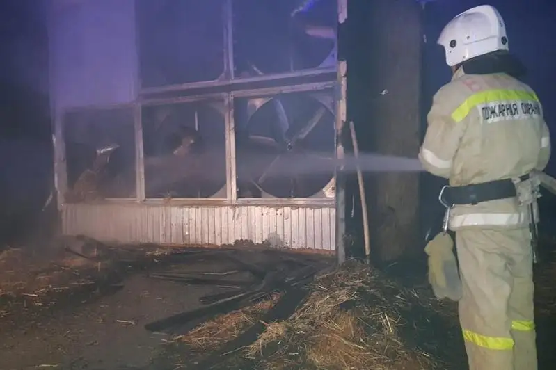 Птицефабрика горела в Туркестанской области