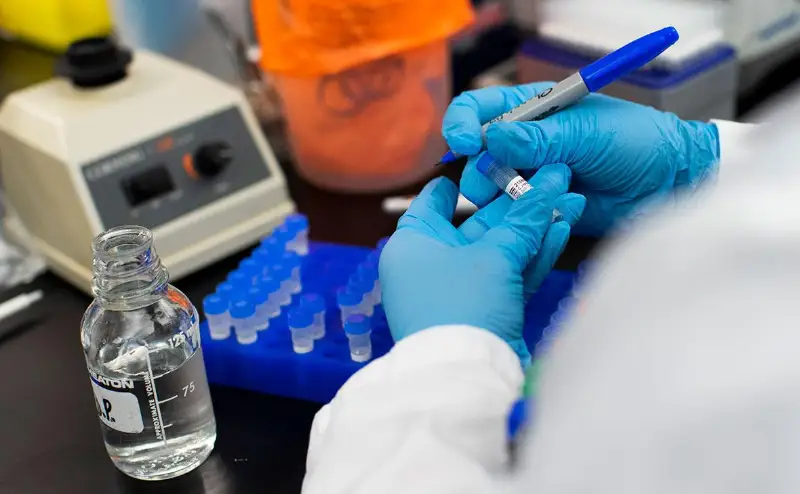 Антитела лошадей могут помочь против коронавируса - ученые Коста-Рики