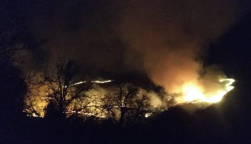 Сухостой горит на склоне горы в Алматы