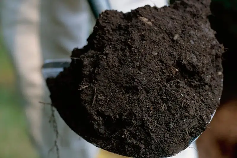 Кражу горного чернозема расследует прокуратура Алматы