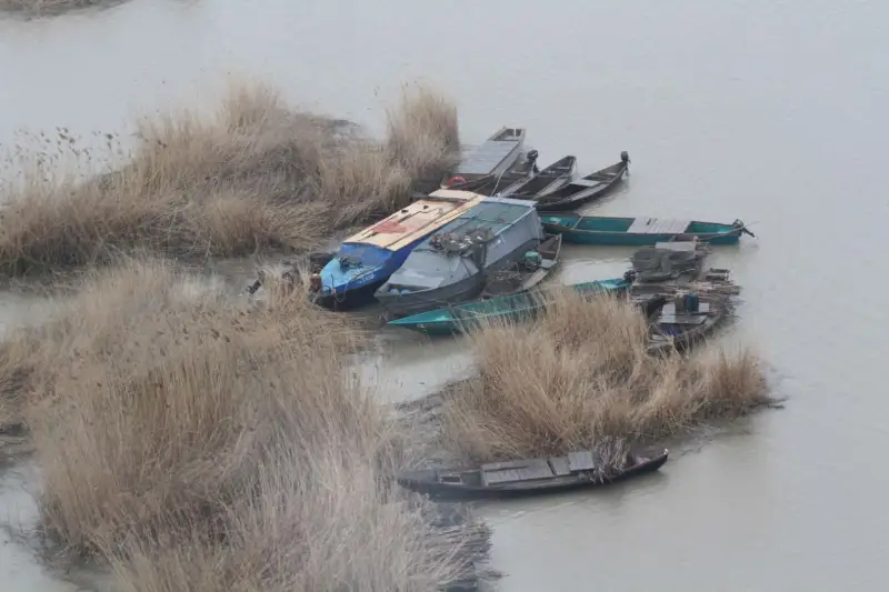 На 20 млн тенге оштрафовали браконьеров в Атырауской области