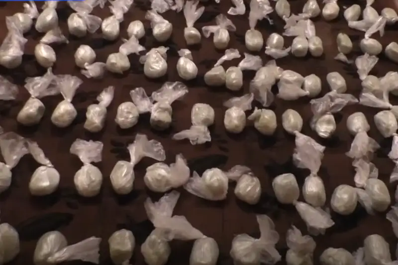 Крупный канал поставки и сбыта наркотиков  пресекли в ВКО