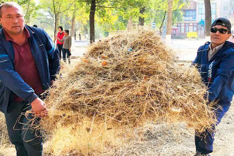«Бірге-таза Қазақстан»: 12 тонн мусора собрали жамбылские работники госкорпорации