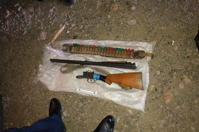 Четыре туши косули и ружье нашли в авто жителя Кокшетау