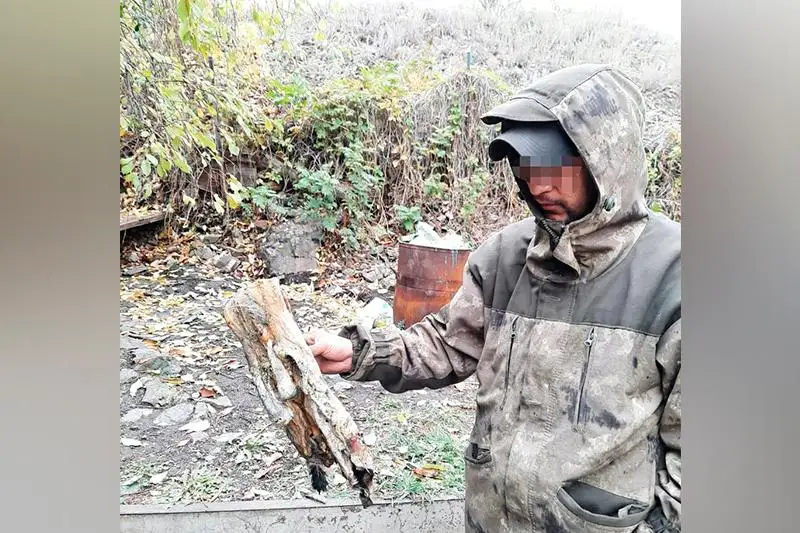 Браконьеру без водительских прав грозит крупный штраф в ВКО