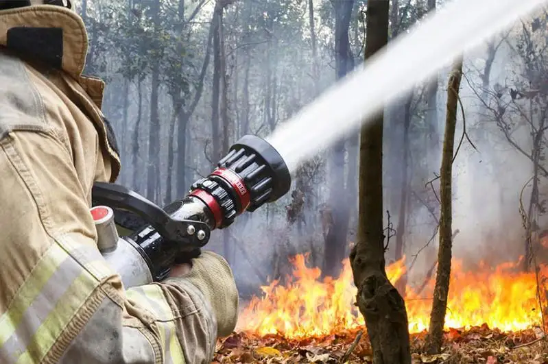 В ДЧС Алматы создан отряд экстренного реагирования по тушению природных пожаров