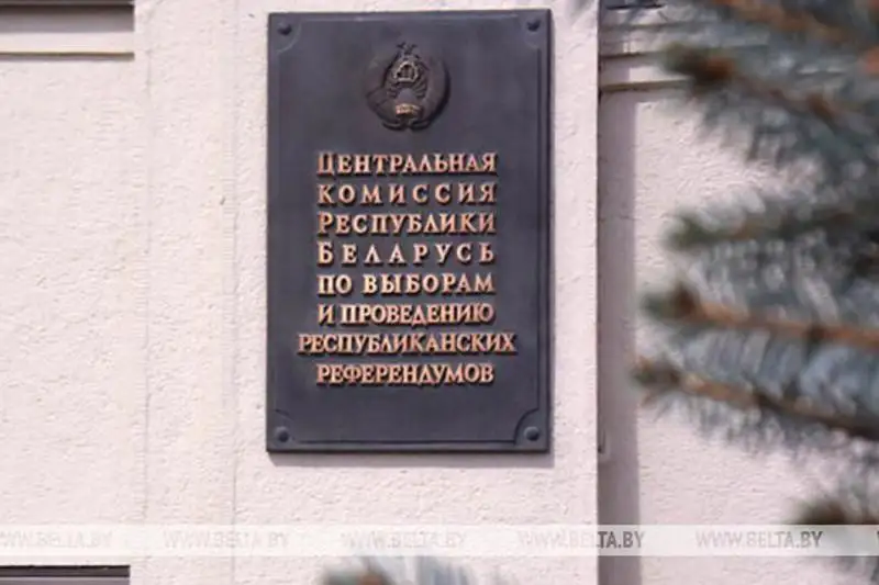 Возможную дату президентских выборов назвали в Беларуси