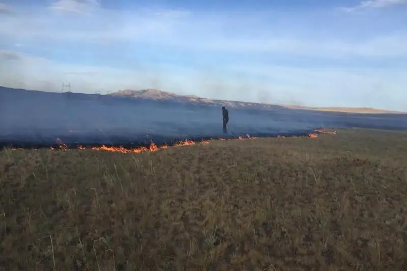 Непотушенный костер перерос в крупный пожар в ВКО