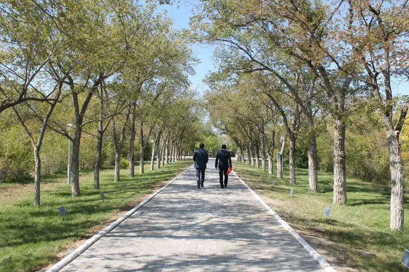 Аллея космонавтов на Байконуре: деревья как люди