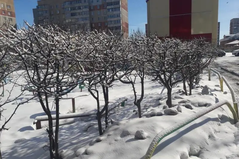 Месячная норма осадков выпала за сутки в СКО