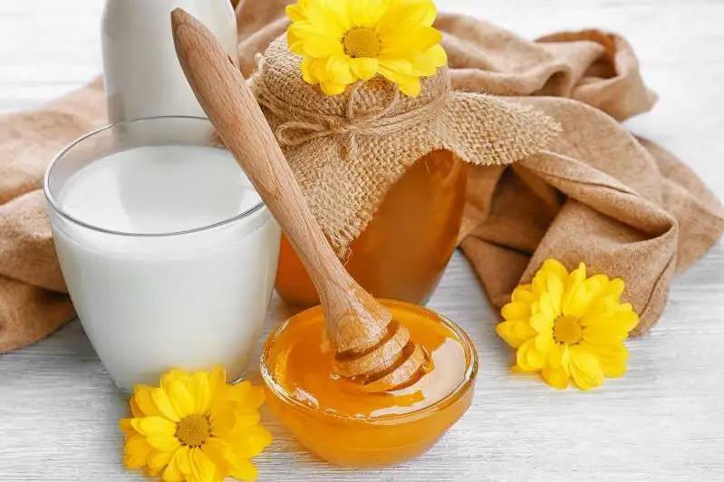 Казахстан планирует поставлять в страны ЕС мед и молочную продукцию