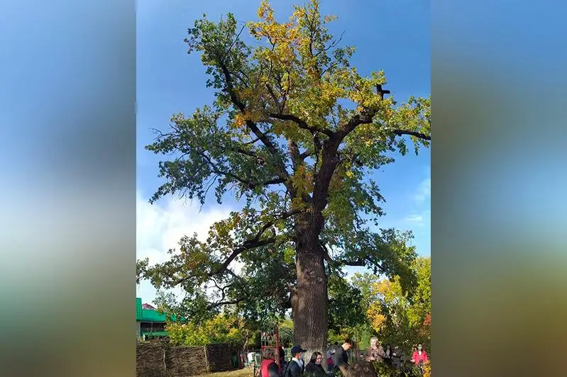 Городскому парку культуры и отдыха в Уральске – 180 лет