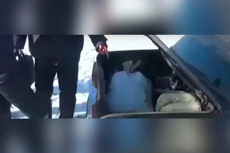 Свыше ста рогов сайгаков изъяли у браконьера в ЗКО