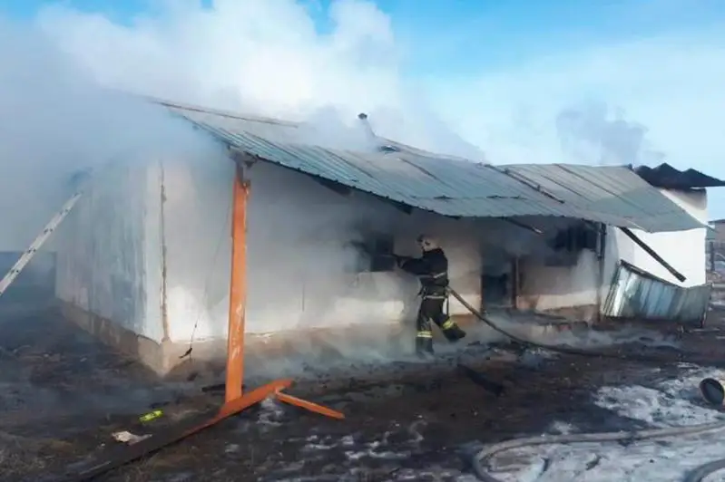 Двое детей погибли при пожаре в Алматинской области