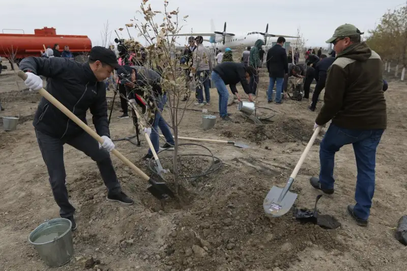 Четыре тысячи саженцев деревьев посадили  в Атырау