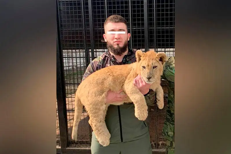 Африканского льва незаконно ввез в страну житель Павлодара
