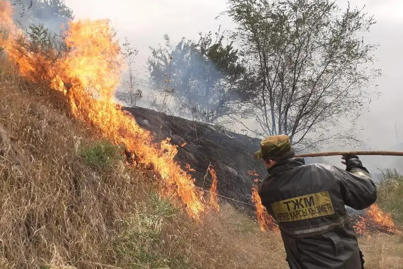 Сухостой горит в Алматы