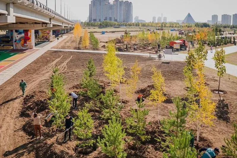 Как будут озеленять Нур-Султан, рассказал Алтай Кульгинов