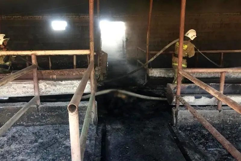 Семь часов тушили пожар на животноводческой ферме в Жамбылской области