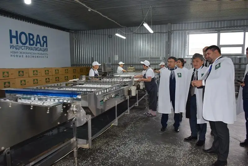 Ход реализации госпрограмм в Рудном проинспектировали представители партии «Nur Otan»