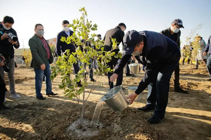 Тысячу саженцев плодовых деревьев и кустарников высадят в Атырау