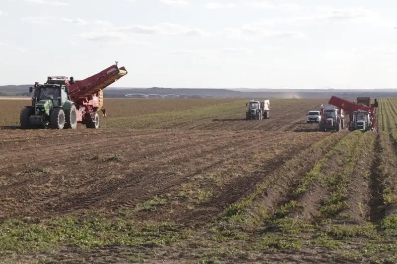 Уборку урожая завершили в Карагандинской области