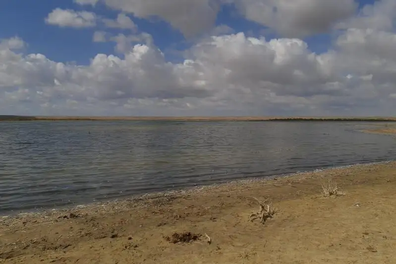 Пестицидами отравилась рыба в озере Тулумбай в СКО