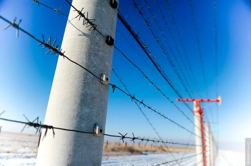 Границы Казахстана усиленно охраняют от провоза опасных продуктов - МСХ