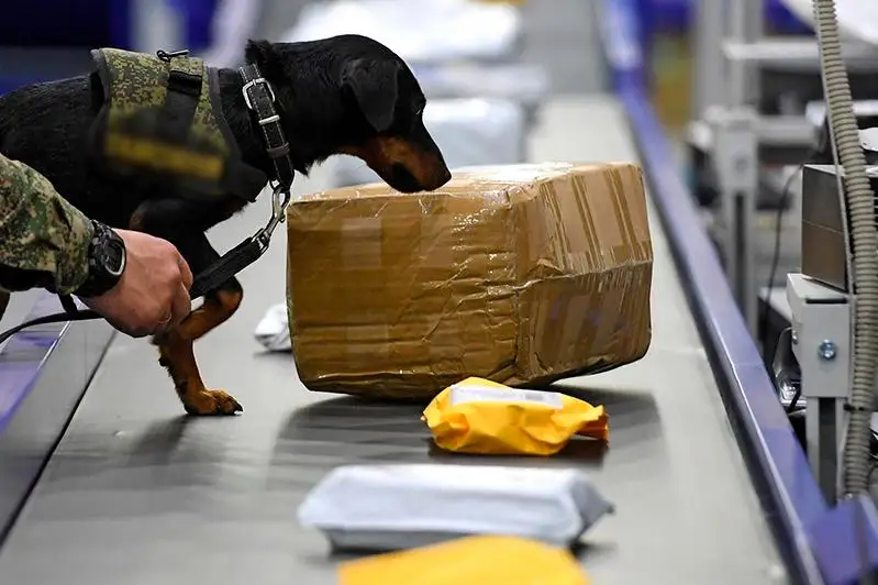 По эффективности таможни Казахстан поднялся на 21 позицию в рейтинге LPI