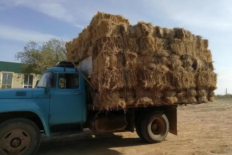 Полностью покрыли потребности в заготовке сена в районе Байтерек ЗКО