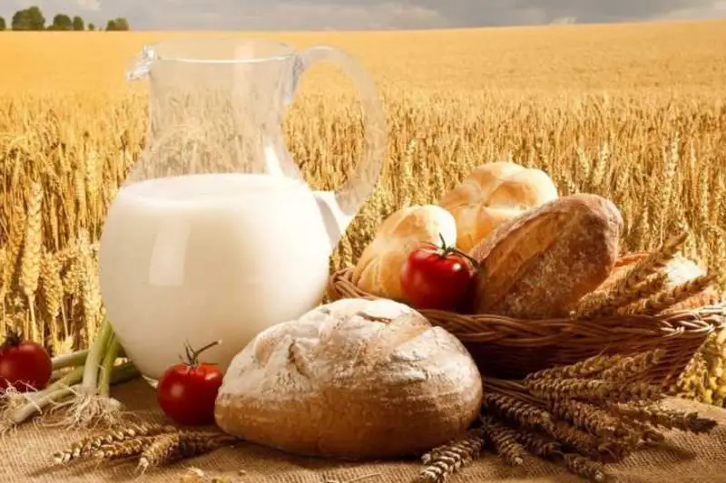 «От поля до прилавка»: в Туркестанской области стартовал новый сельскохозяйственный проект