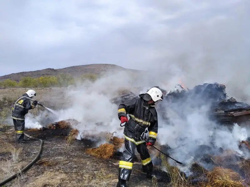 Более 800 тонн сена сгорело за полтора месяца в ВКО
