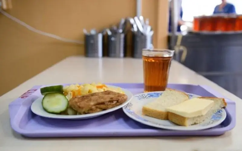 22 ребенка отравились в школьной столовой в Павлодарской области